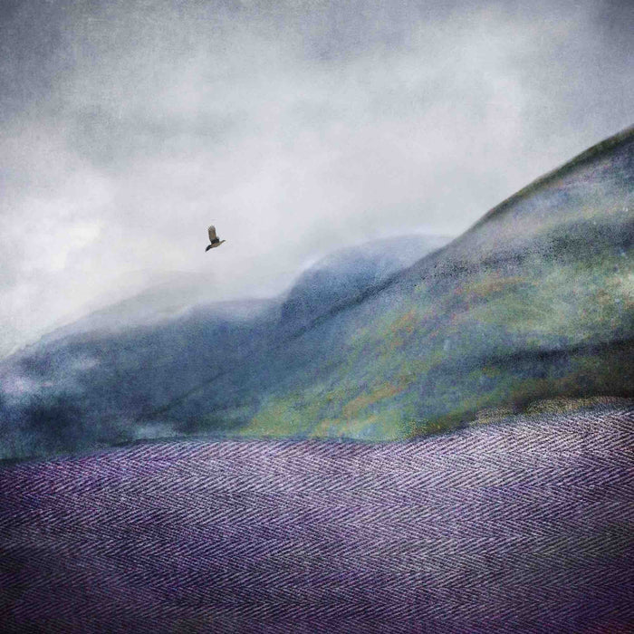 12x12 Mounted Prints (MEDIUM)