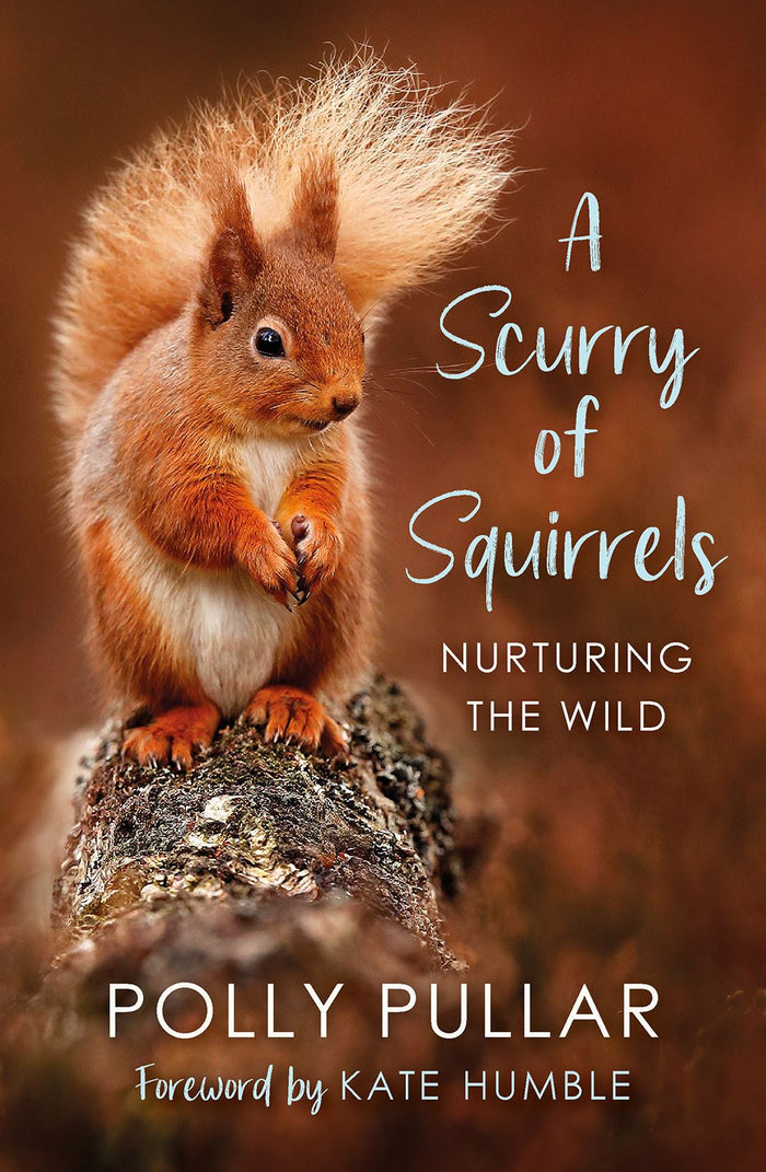 A Scurry of Squirrels (PB)