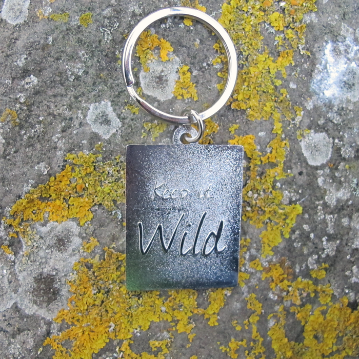 Enamel Keyring