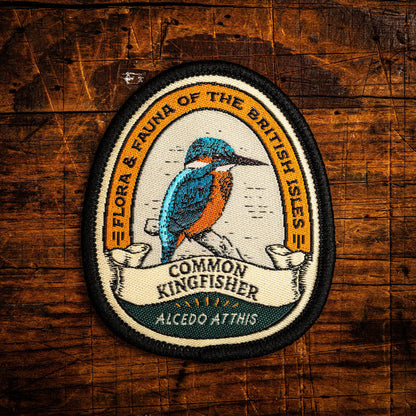 Kingfisher