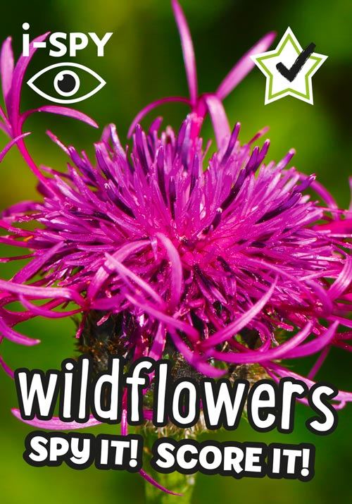 Wild Flowers