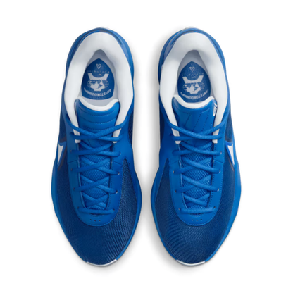 Nike Men's Giannis Zoom Freak 6 TB Basketball Shoes - FV1292-401