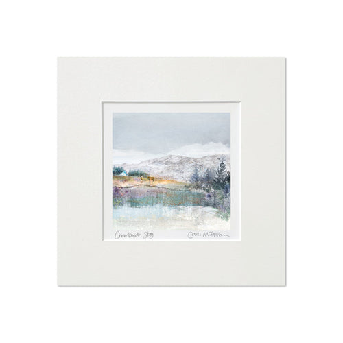 NEW 8x8 Mounted Prints (SMALL)