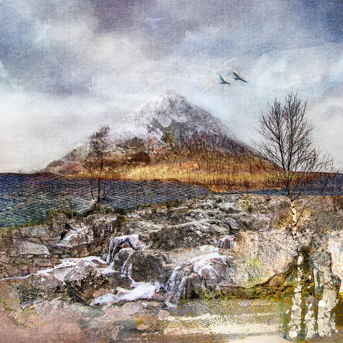 NEW 8x8 Mounted Prints (SMALL)