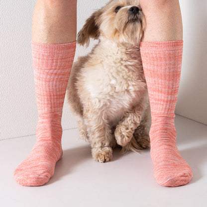 Random socks 2-pack