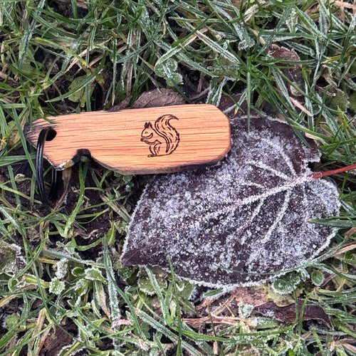 Whisky Frames Keyrings